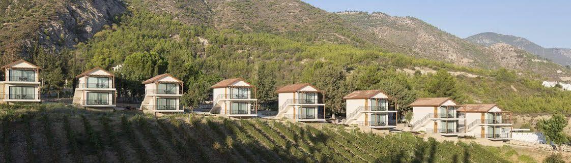 Gillham Vineyard Hotel Templos Bagian luar foto