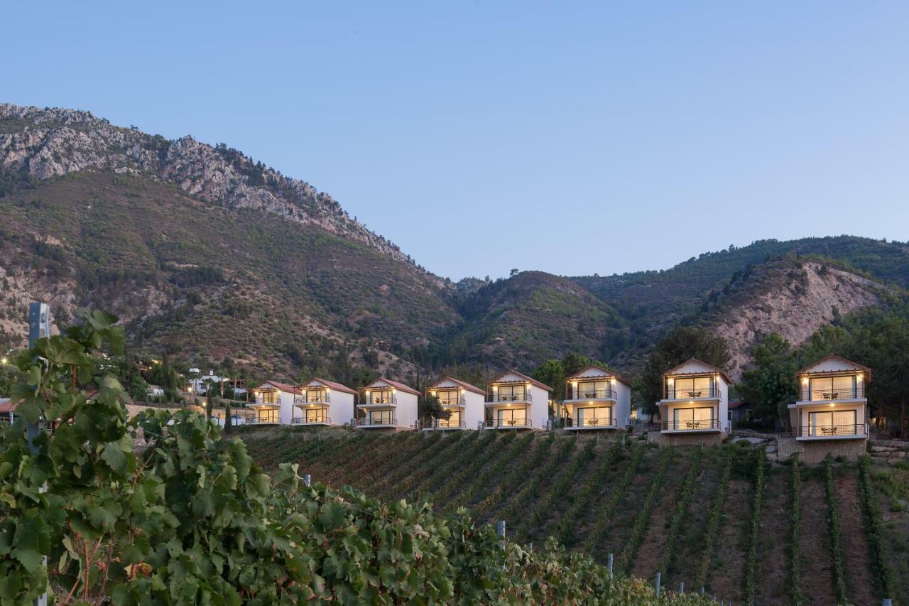 Gillham Vineyard Hotel Templos Bagian luar foto