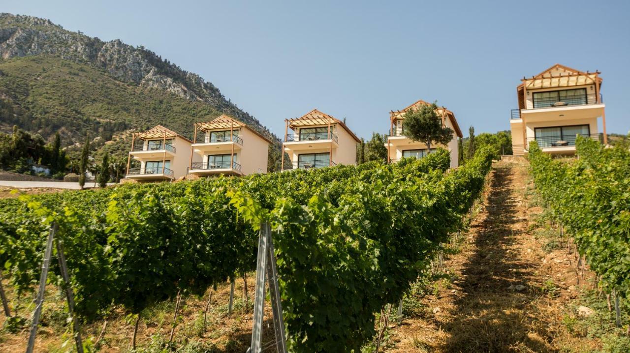 Gillham Vineyard Hotel Templos Bagian luar foto