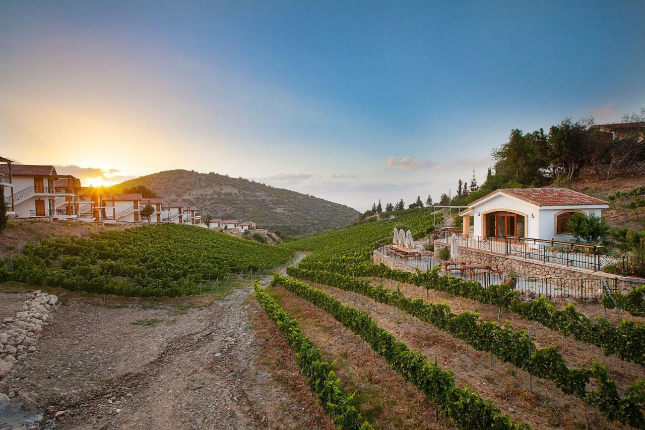 Gillham Vineyard Hotel Templos Bagian luar foto